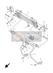 Oil Cooler