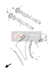 Camshaft & Chain