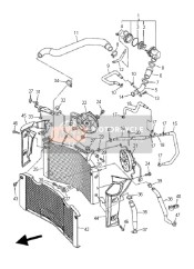 Radiator & Slang