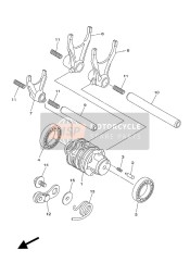 Shift Cam & Fork