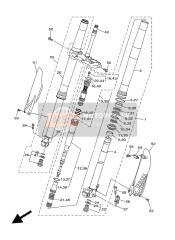 Forcella anteriore