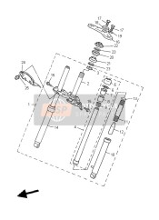 Forcella anteriore