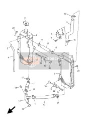 Radiator & Hose