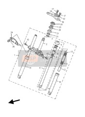 Forcella anteriore