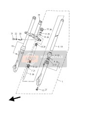 Forcella anteriore