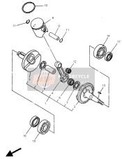 Crankshaft & Piston