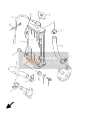 Termosifone & Tubo