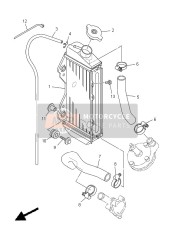 Termosifone & Tubo