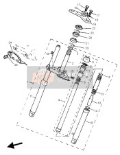 Forcella anteriore