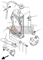 Termosifone & Tubo