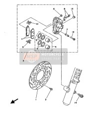 BREMSE VORNE & BREMSSATTEL