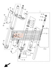 Forcella anteriore