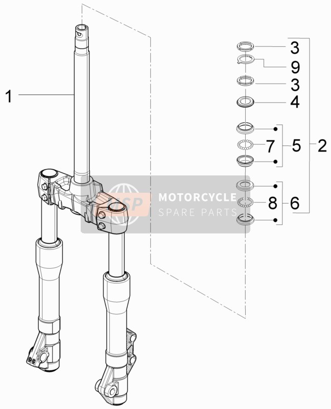 Piaggio X9 250 Evolution 2006 Fork/Steering Tube - Steering Bearing Unit for a 2006 Piaggio X9 250 Evolution