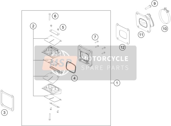 KTM 125 SX USA 2019 Reed Valve Case for a 2019 KTM 125 SX USA