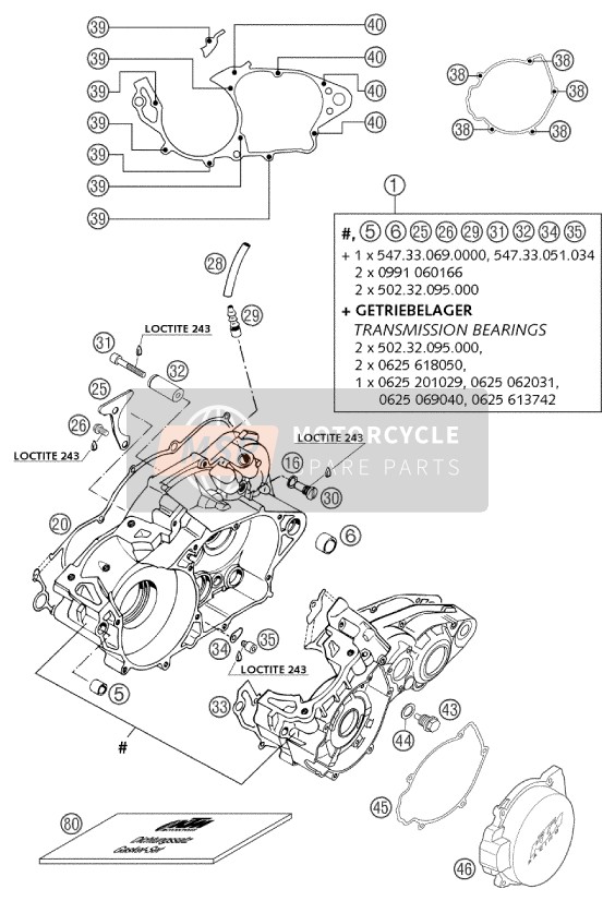 KTM 250 EXC USA 2002 MOTORGEHÄUSE für ein 2002 KTM 250 EXC USA