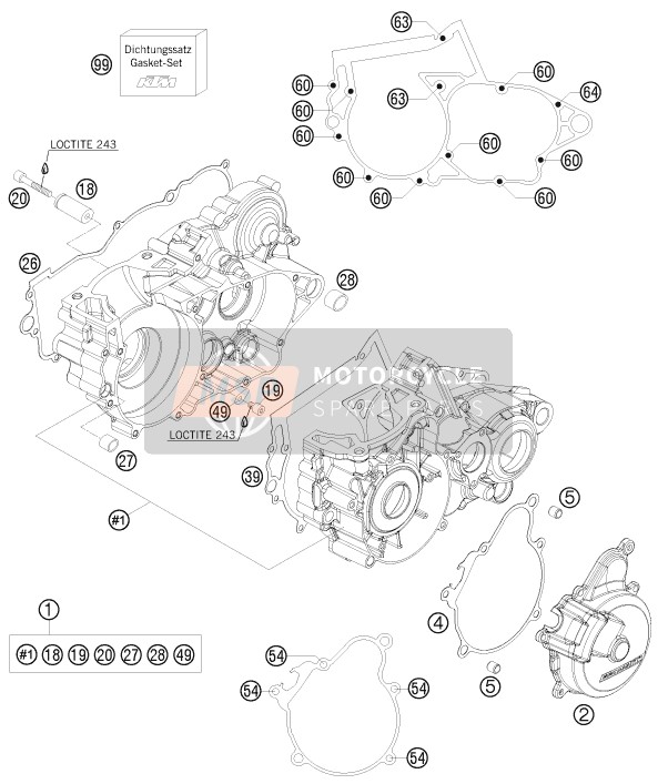 KTM 250 EXC SIX-DAYS Europe 2008 Engine Case for a 2008 KTM 250 EXC SIX-DAYS Europe