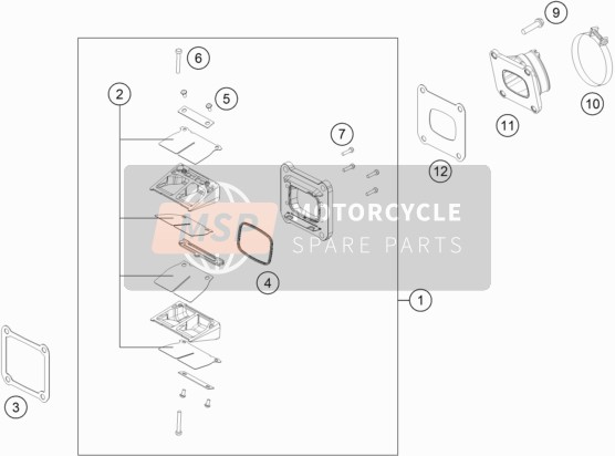 KTM 250 SX Europe 2019 Reed Valve Case for a 2019 KTM 250 SX Europe