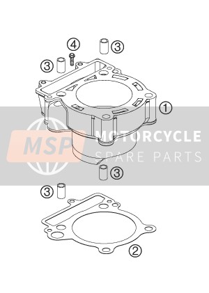 KTM 250 XC-F USA 2007 Cylindre pour un 2007 KTM 250 XC-F USA