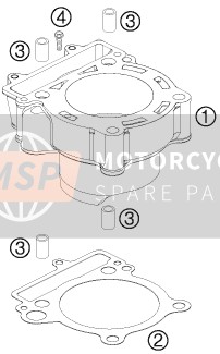 KTM 250 XC-F USA 2009 Cylindre pour un 2009 KTM 250 XC-F USA