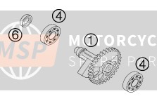 KTM 400 EXC RACING SIX-DAYS Europe 2002 Albero di bilanciamento per un 2002 KTM 400 EXC RACING SIX-DAYS Europe
