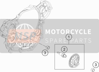 KTM 450 EXC-F Six Days USA 2018 Eje equilibrador para un 2018 KTM 450 EXC-F Six Days USA