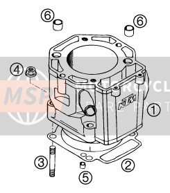 KTM 625 SC Europe 2002 ZYLINDER für ein 2002 KTM 625 SC Europe