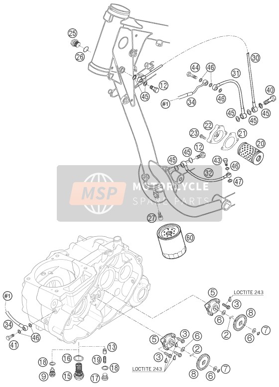 KTM 625 SXC Europe 2006 Lubricating System for a 2006 KTM 625 SXC Europe