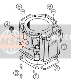 KTM 640 DUKE II BLACK GB 2004 ZYLINDER für ein 2004 KTM 640 DUKE II BLACK GB