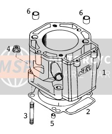 KTM 640 LC4-E Europe 2000 Cylinder for a 2000 KTM 640 LC4-E Europe