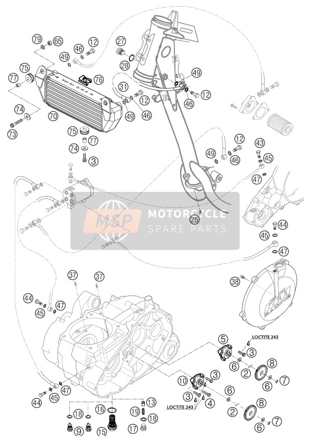 KTM 660 RALLYE FACTORY REPL. Europe 2003 Lubricating System for a 2003 KTM 660 RALLYE FACTORY REPL. Europe