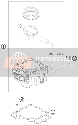 KTM 690 DUKE R Japan 2010 Cilindro per un 2010 KTM 690 DUKE R Japan