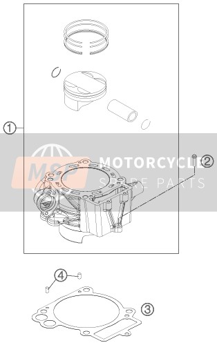 KTM 690 DUKE R ABS Australia 2014 Cilinder voor een 2014 KTM 690 DUKE R ABS Australia