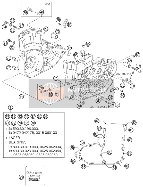 Husaberg FS 450c/6, Europe 2005 Engine Case for a 2005 Husaberg FS 450c/6, Europe