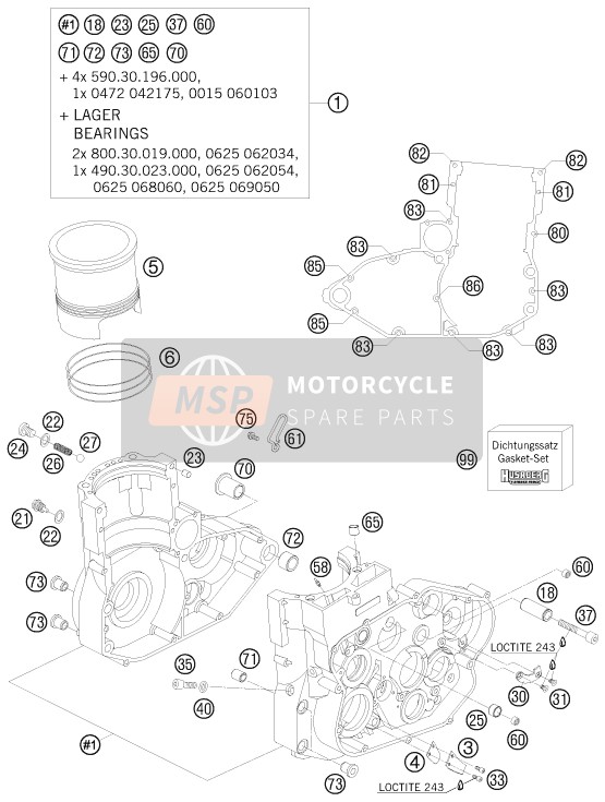 Husaberg FS 450e/6, Europe 2008 MOTORGEHÄUSE für ein 2008 Husaberg FS 450e/6, Europe