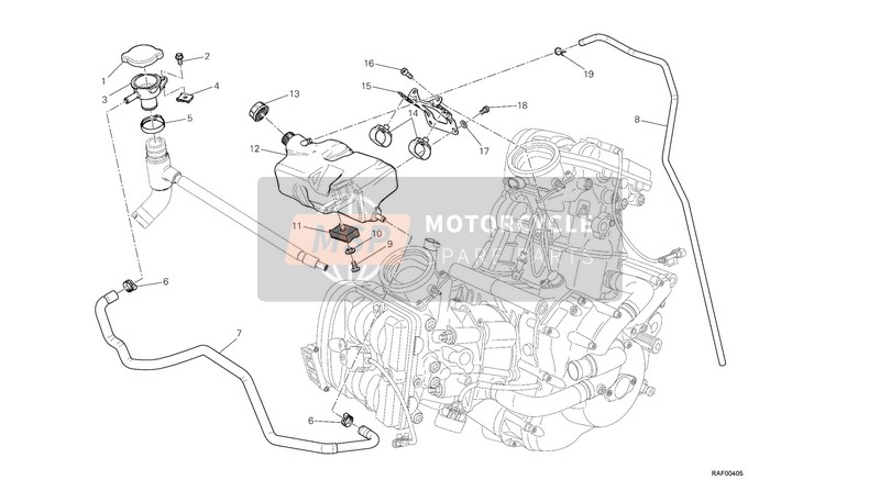 Ducati DIAVEL AMG USA 2013 Tank, Wassertank für ein 2013 Ducati DIAVEL AMG USA