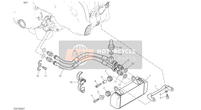 Ducati Hypermotard 950 USA 2020 Ölkühler für ein 2020 Ducati Hypermotard 950 USA