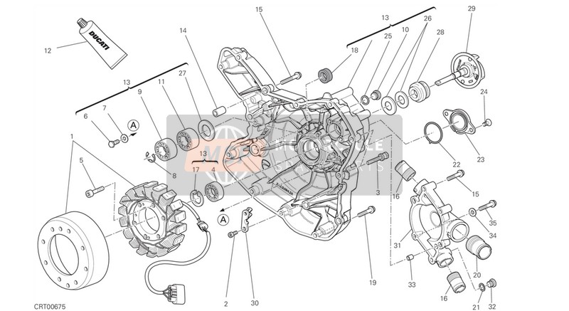 Ducati MONSTER 1200 EU 2015 Wasserpumpe - Generator - Seite - Kurbelgehäusedeckel für ein 2015 Ducati MONSTER 1200 EU