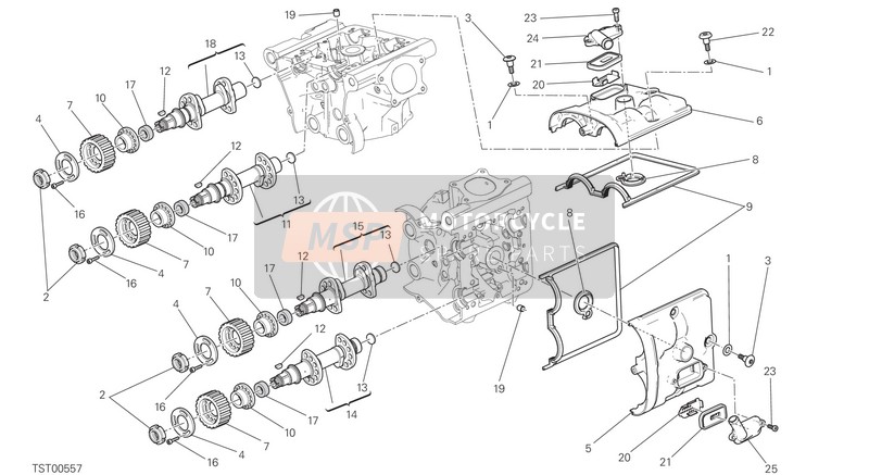 Ducati MONSTER 1200 EU 2016 Nokkenas voor een 2016 Ducati MONSTER 1200 EU