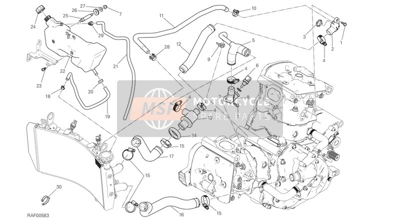 Ducati MONSTER 1200 EU 2020 Cooling System for a 2020 Ducati MONSTER 1200 EU