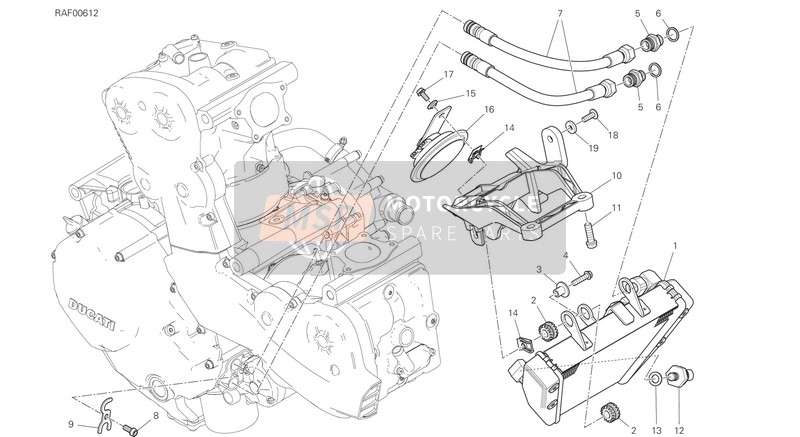 Ducati MONSTER 1200 R EU 2019 Oil Cooler for a 2019 Ducati MONSTER 1200 R EU