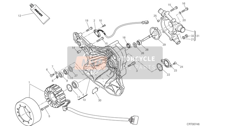 Ducati MONSTER 1200 USA 2017 Wasserpumpe - Generator - Seite - Kurbelgehäusedeckel für ein 2017 Ducati MONSTER 1200 USA