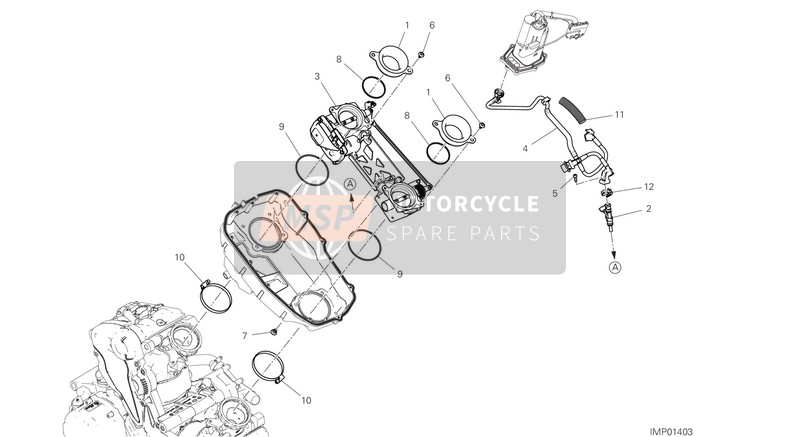 Ducati MONSTER 2021 Corpo farfallato per un 2021 Ducati MONSTER