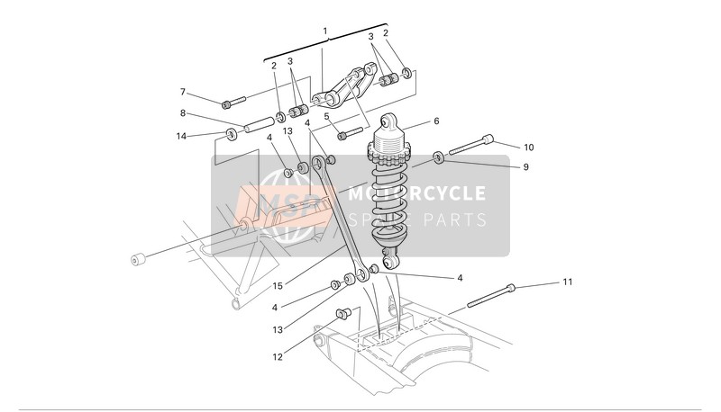 Ducati MONSTER 695 Usa 2007 Achtervering voor een 2007 Ducati MONSTER 695 Usa