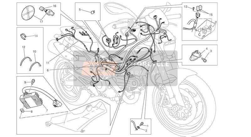 Ducati MONSTER 696 ABS Usa 2014 Wiring Harness for a 2014 Ducati MONSTER 696 ABS Usa