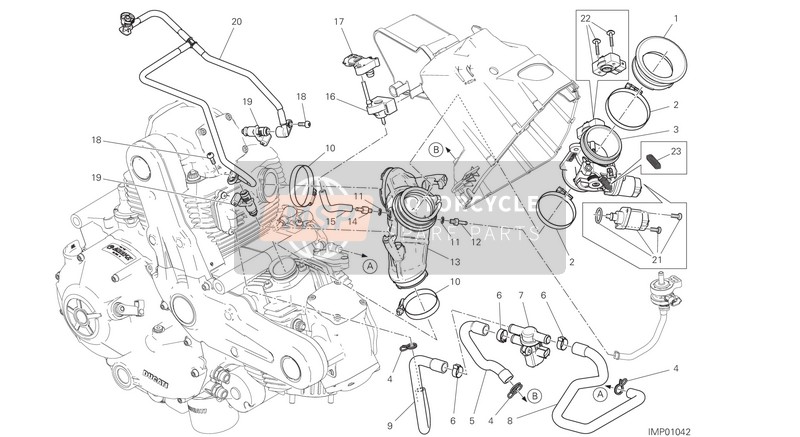 Ducati Monster 797 USA 2019 Corpo farfallato per un 2019 Ducati Monster 797 USA