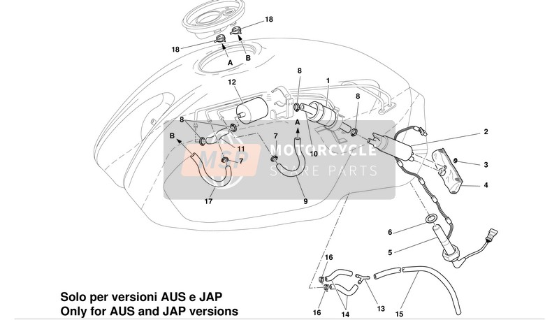 Ducati MONSTER 800 I.E. Eu 2004 Fuel System 1 for a 2004 Ducati MONSTER 800 I.E. Eu