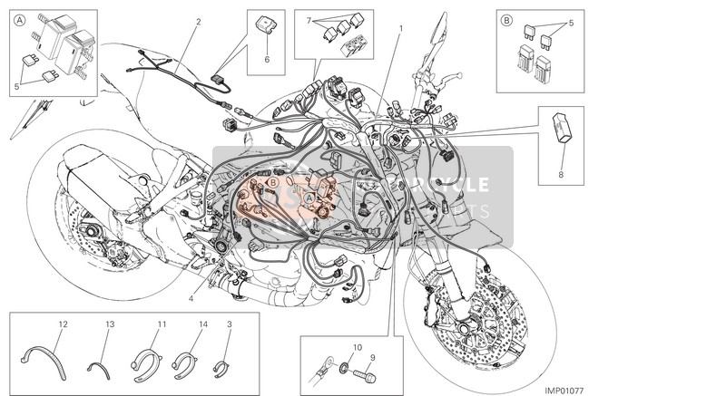 Ducati MONSTER 821 USA 2019 Wiring Harness for a 2019 Ducati MONSTER 821 USA