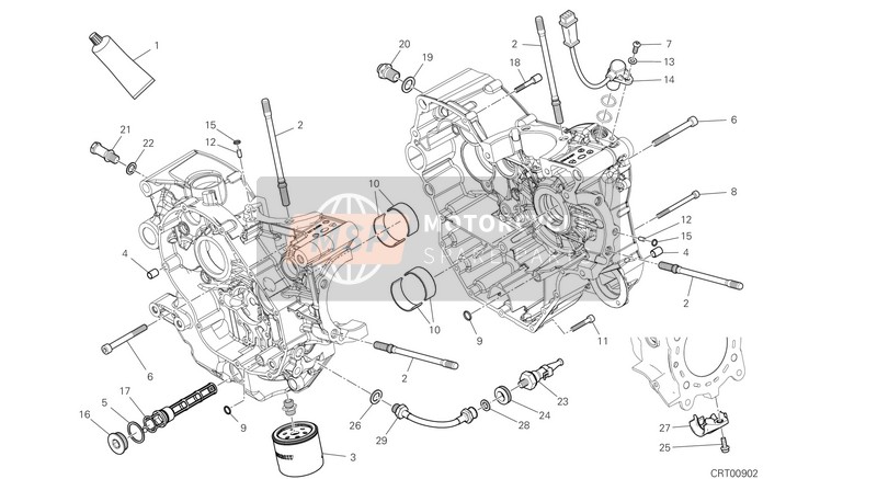 Ducati MONSTER PLUS 2021 HALF-CRANKCASES PAIR for a 2021 Ducati MONSTER PLUS