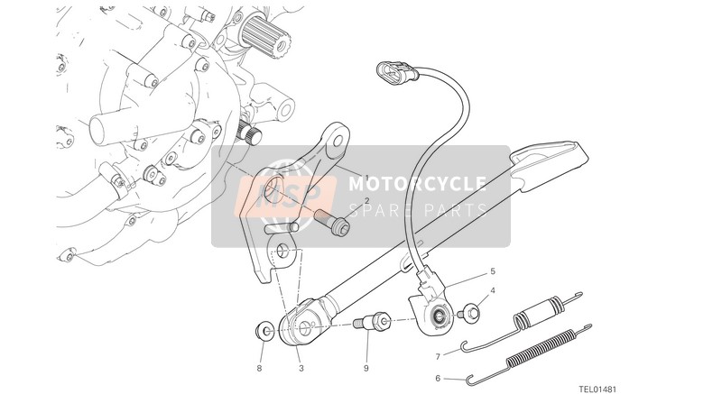 Ducati MONSTER PLUS 2021 STAND for a 2021 Ducati MONSTER PLUS