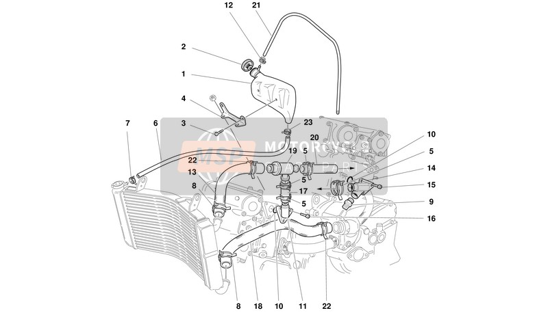 Ducati MONSTER S4 Usa 2001 Cooling Circuit for a 2001 Ducati MONSTER S4 Usa